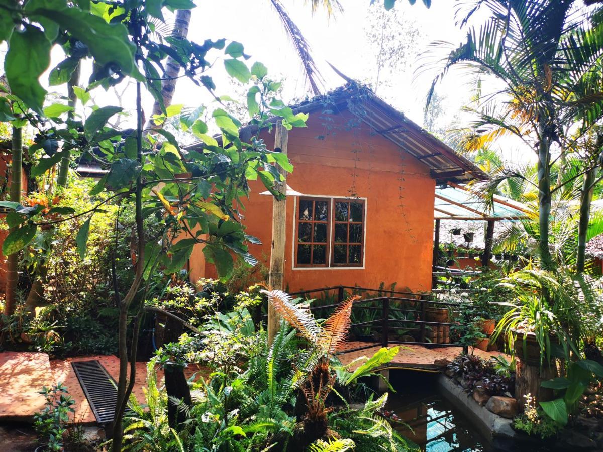 บ้านดินโฮมสเตย์ ปางอุ๋ง Ban Huai Makhuea Som Exterior foto